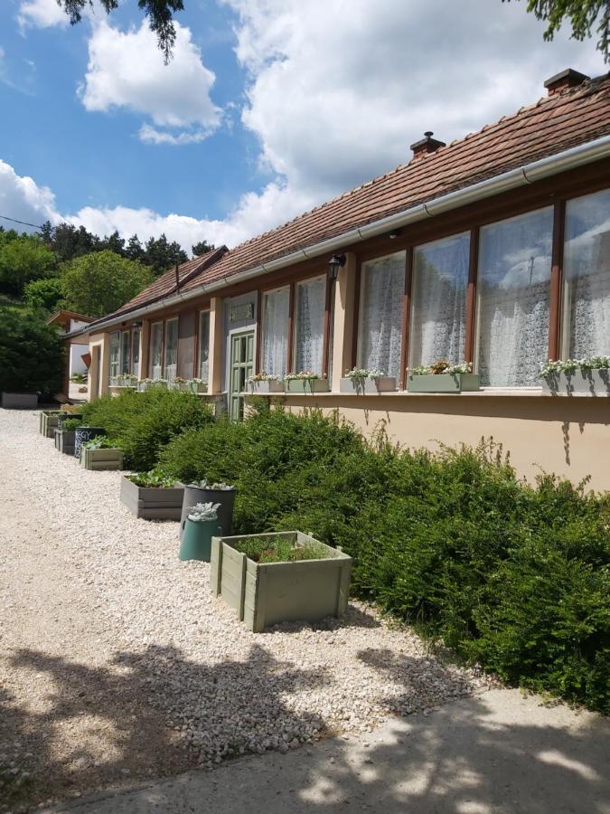 Kohegy Vendeghaz Pazmand Exterior foto